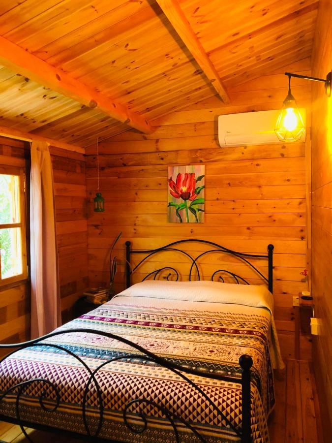 Happy Glamping Cy Agios Theodoros Exterior foto