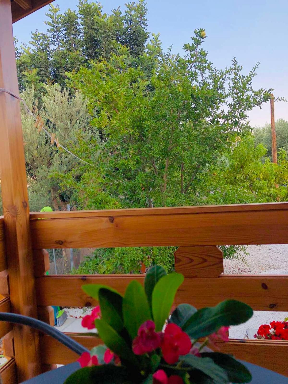 Happy Glamping Cy Agios Theodoros Quarto foto