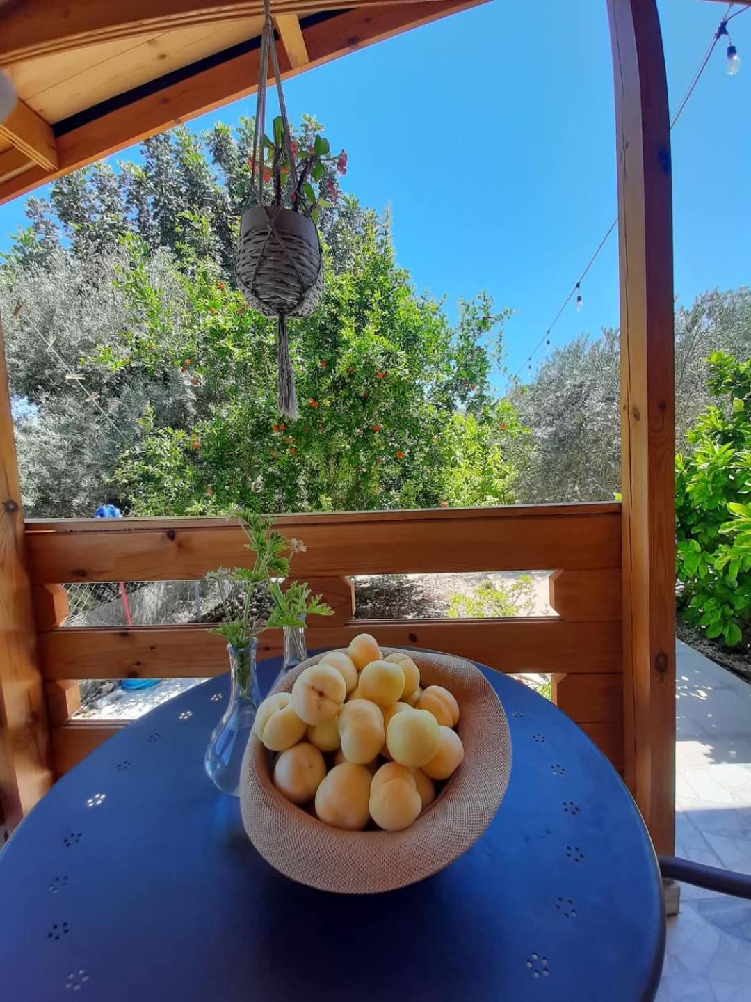 Happy Glamping Cy Agios Theodoros Exterior foto